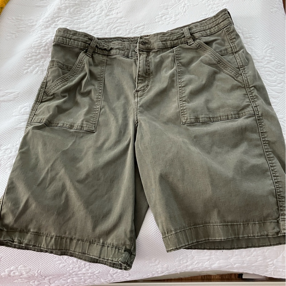 Kuhl Men's Sage Cargo Shorts